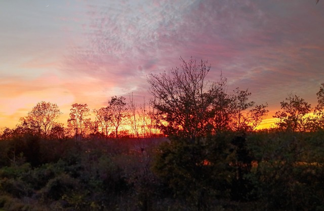 A perfect place to watch the Sunset