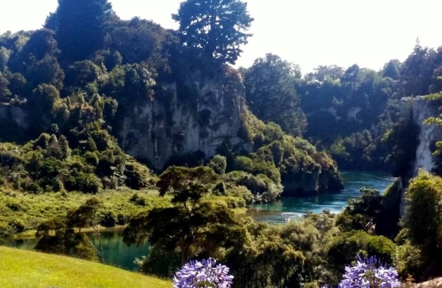 A Quiet, peaceful hideaway by the Waikato river.