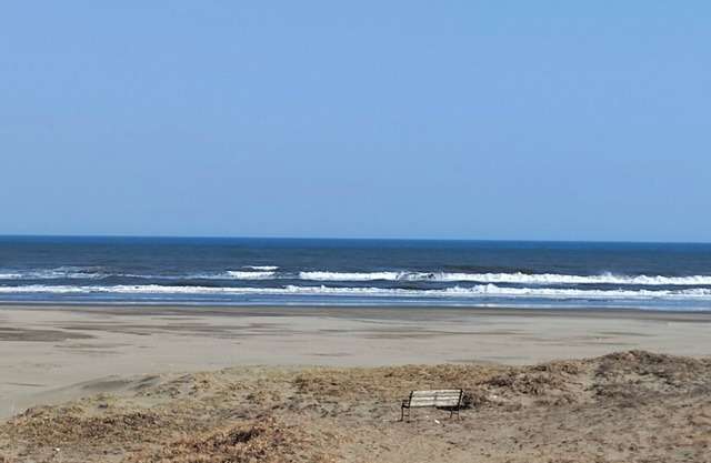 A seaside inn where you can spend relaxing time wi/Sanmu Chiba
