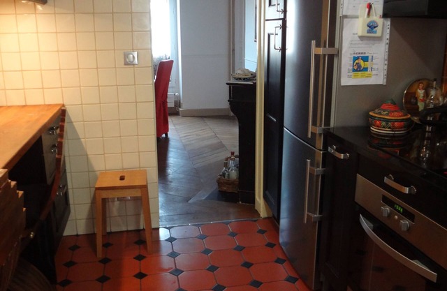A single room in a fancy 100 sqm flat downtown Paris.n