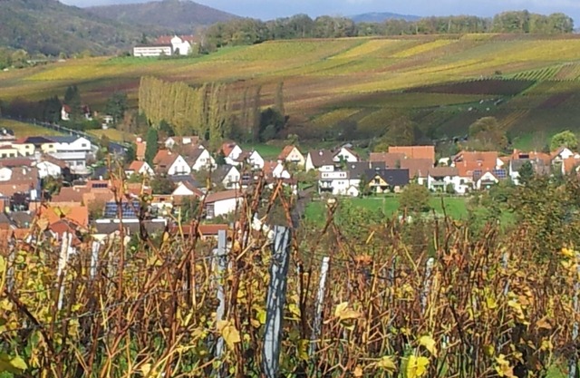 A sunny spot below Landeck Castle in the middle of the vineyards
