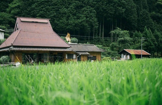A thatchedroof farmhouse nestled in nature at the foot of Mount Koya/Ito-gun Wakayama