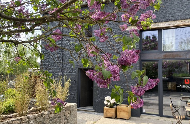 A village house combining design and vintage