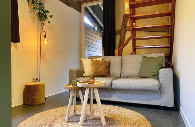 A1. De Fries: duplexsuite with terrace