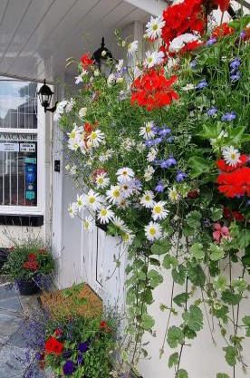 Aarondale Guest House