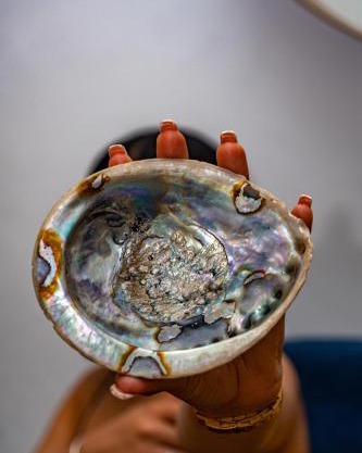 Abalone Private Residence