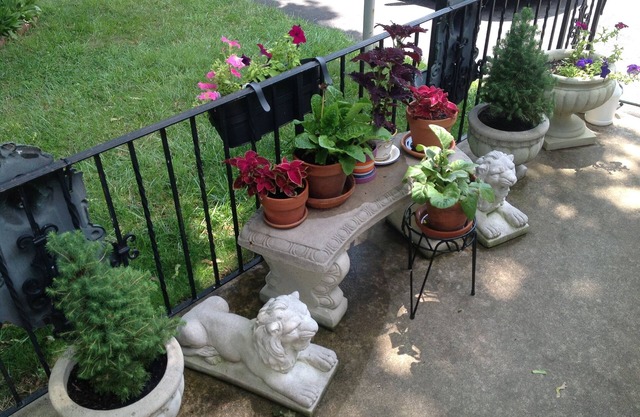 Abington Jenkintown Two Bedroom apartment in Philadelphia Suburbs