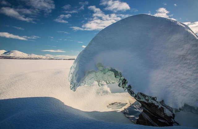 Abisko Guesthouse & Activities