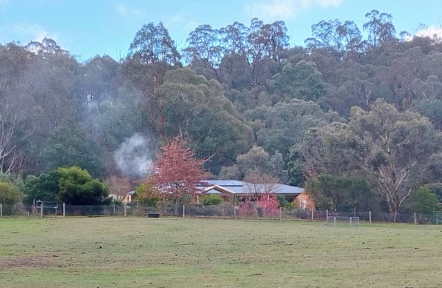 Above the Mist Dexters. Spacious comfortable home on 12 acres.