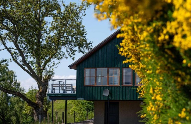 Achmony Green by Interhome