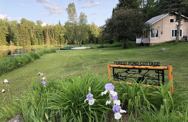 Adirondack Cottage - Four Season, Pet-Friendly, Cozy & Beautiful. Read reviews!