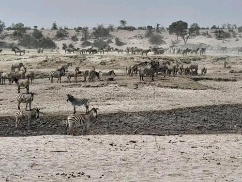 Afrinatural Safaris