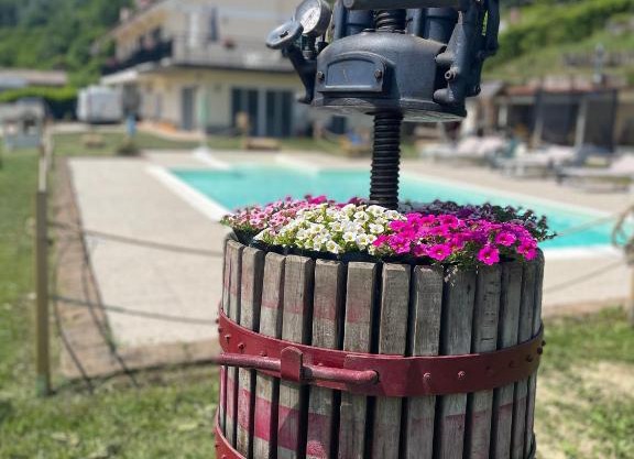 Agriturismo Ippocastano