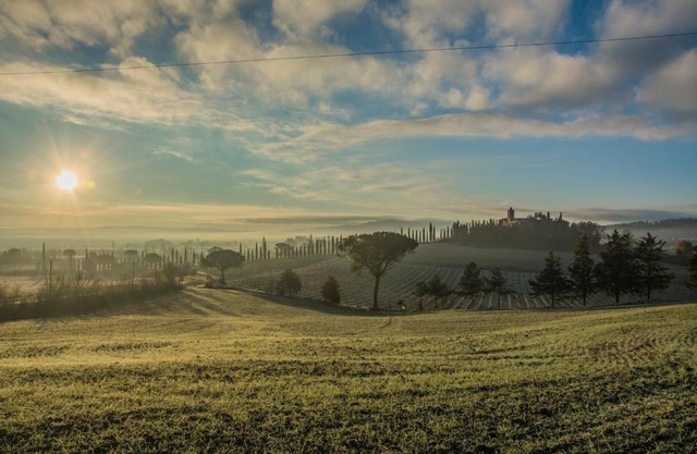 Agriturismo La Ripolina