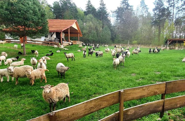 Agroturystyka Stara Huta