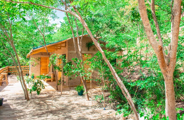 Aika Sunrise: Treetops Apartment