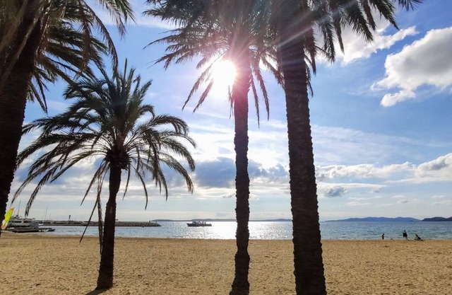 Air-conditioned apartment 500m from the beach and shops