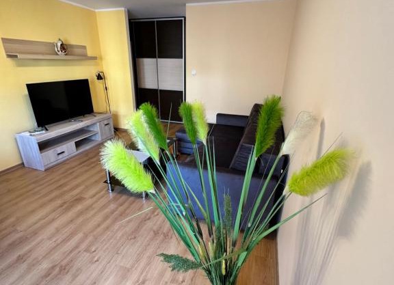 Al-Dom Apartamenty Apartament Marjonas Zielone Tarasy
