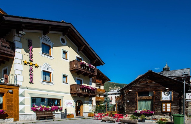Alba Alpine Hotel