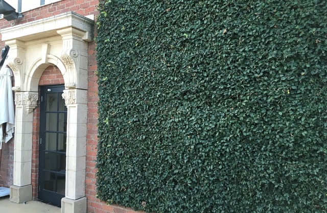 Albury Manor House