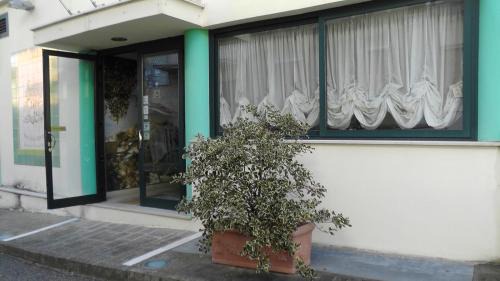 Alma Hotel San Giorgio