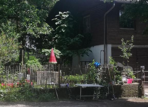 Am Haselhof