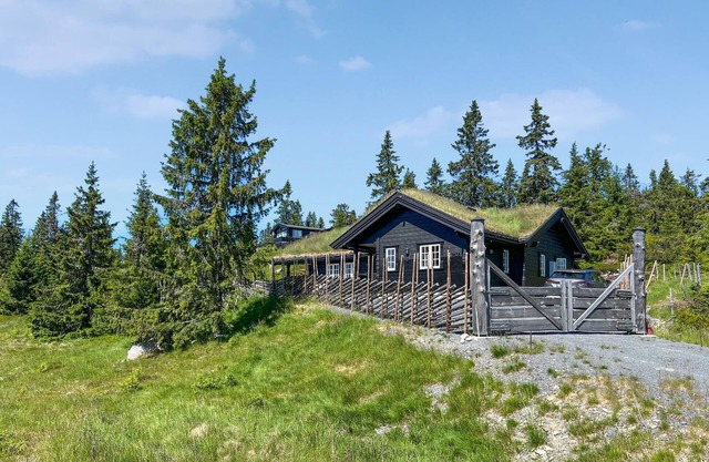 Amazing home in Sjusjøen with sauna