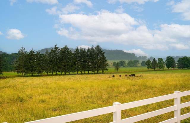 Amazing views, hot tub/outdoor fireplace, countryside, farm with calves & goats.