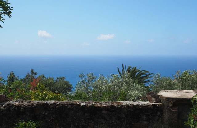 Among olive trees and lavender, small detached house with garden and private parking