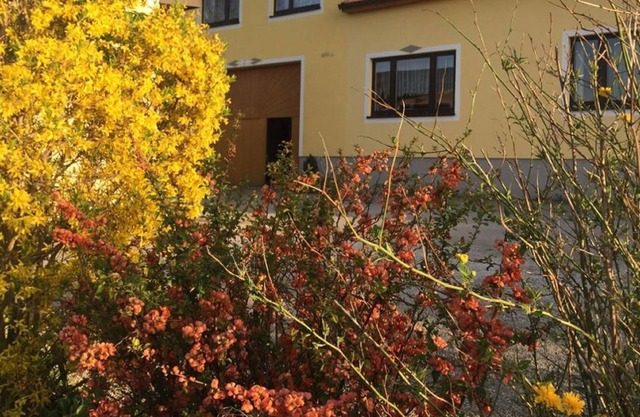 Amstetter's Ferienwohnung