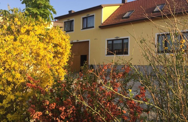 Amstetter’s Ferienwohnung