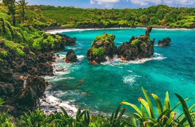 An Adventure Awaits! 4 Gorgeous Ocean View Units! Pet-Friendly, Pool