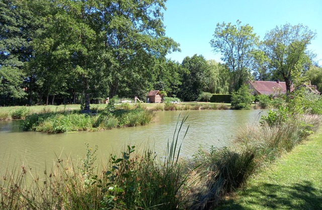 Ancien Moulin sur 5 Hectares Venez Vous Ressourcer
