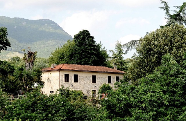 ANCIENT FARMHOUSE SURROUNDED BY GREENERY