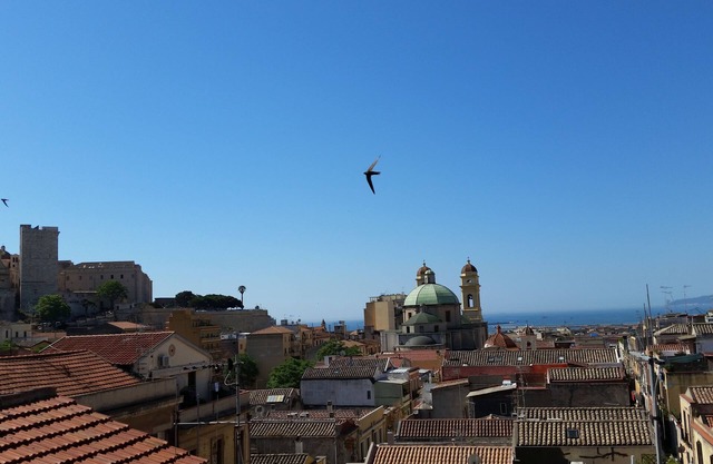 Ancient viewes of Cagliari