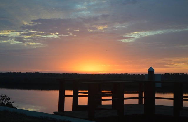 Anita's nature coast hideaway