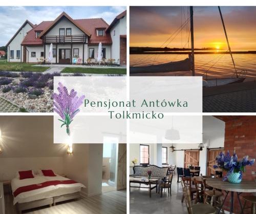 Antówka