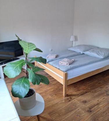 Apartament Żółkiewski