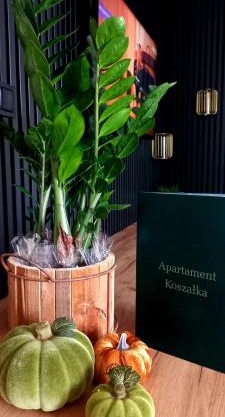 Apartament Koszałka