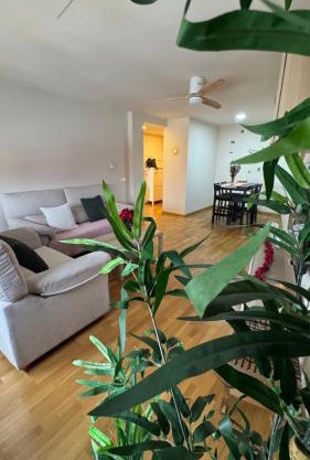 Apartamentos Suites Iscar