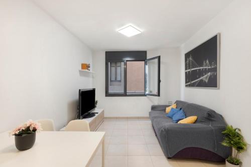 Apartaments Puig cardener 1