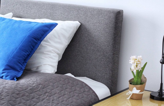Apartamenty Polanka