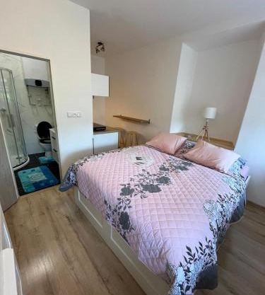 Apartmán Kostomlaty pod Milešovkou