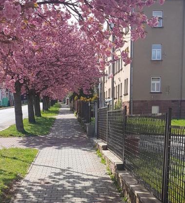 Apartmán Kumburská - Nová Paka