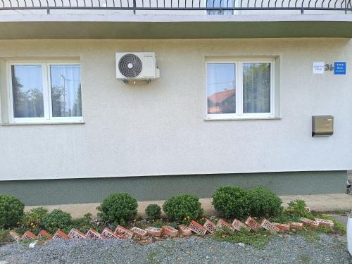 APARTMAN PETAR