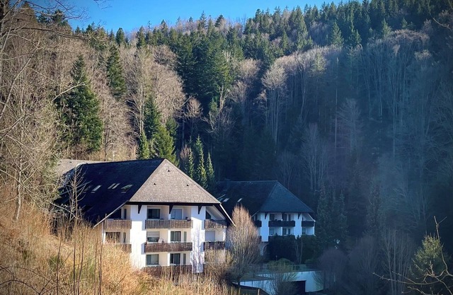 Apartment 'Riese' with Balcony and Wi-Fi