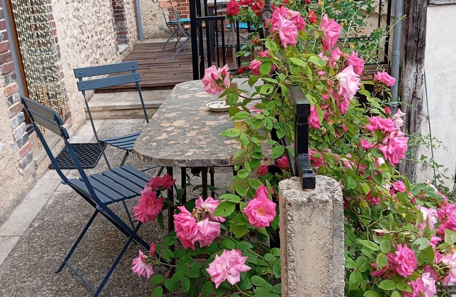 Apartment with terrace - Gîte au Village 89120 DICY