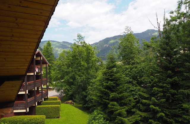 Apartment 14 people in a typical chalet - Chatel Reservation