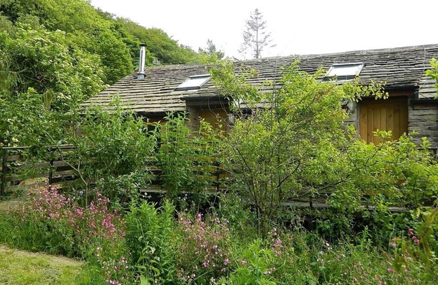 Apartment 2 Sleeps 3 (1Bedroom)