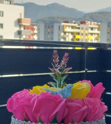 Apartment Altipiani Panoramic Silver